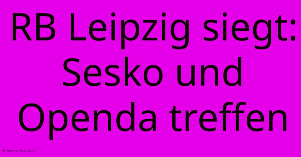 RB Leipzig Siegt: Sesko Und Openda Treffen RB Leipzig Siegt: Sesko Und Openda Treffen