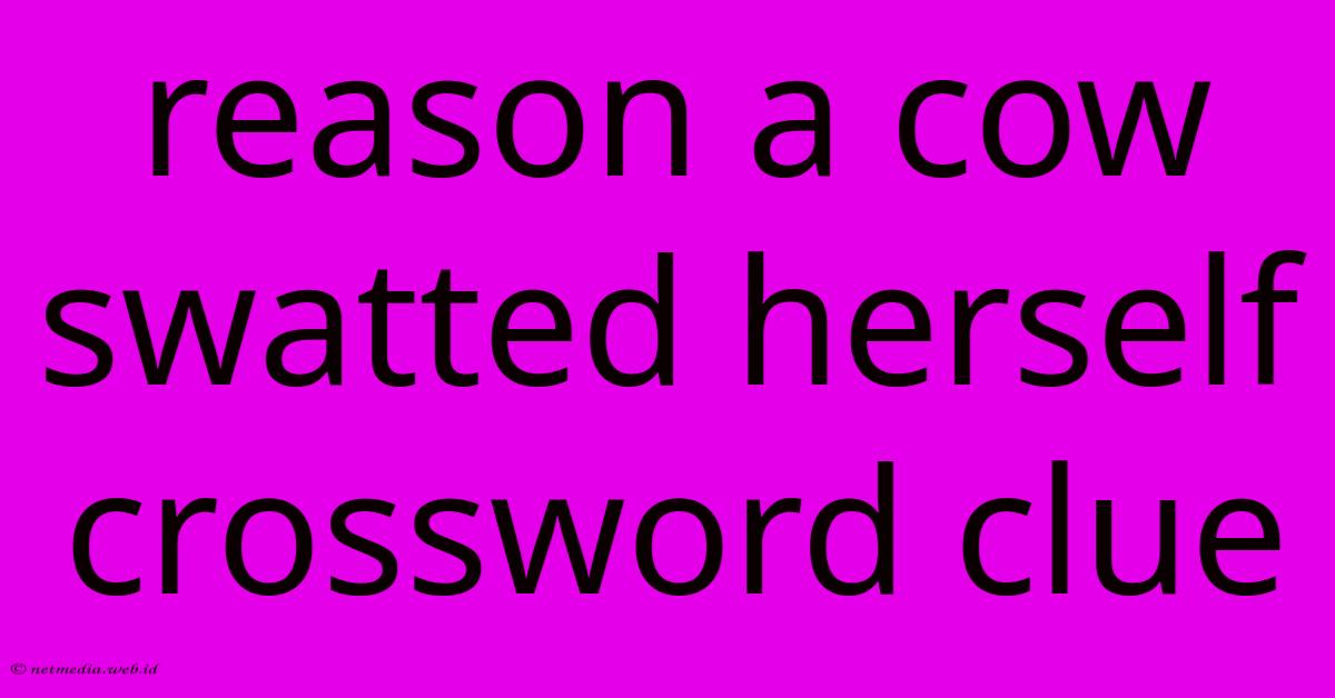 Reason A Cow Swatted Herself Crossword Clue