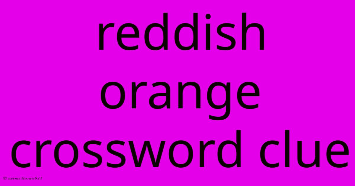 Reddish Orange Crossword Clue