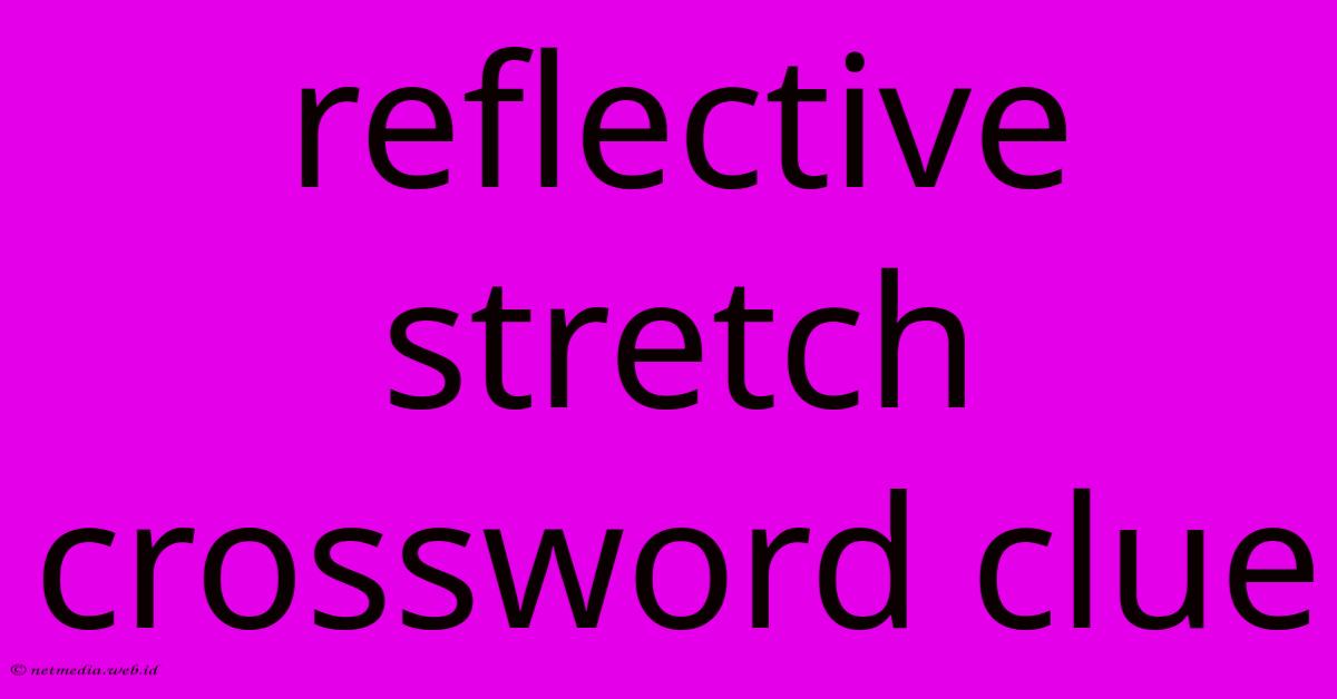 Reflective Stretch Crossword Clue