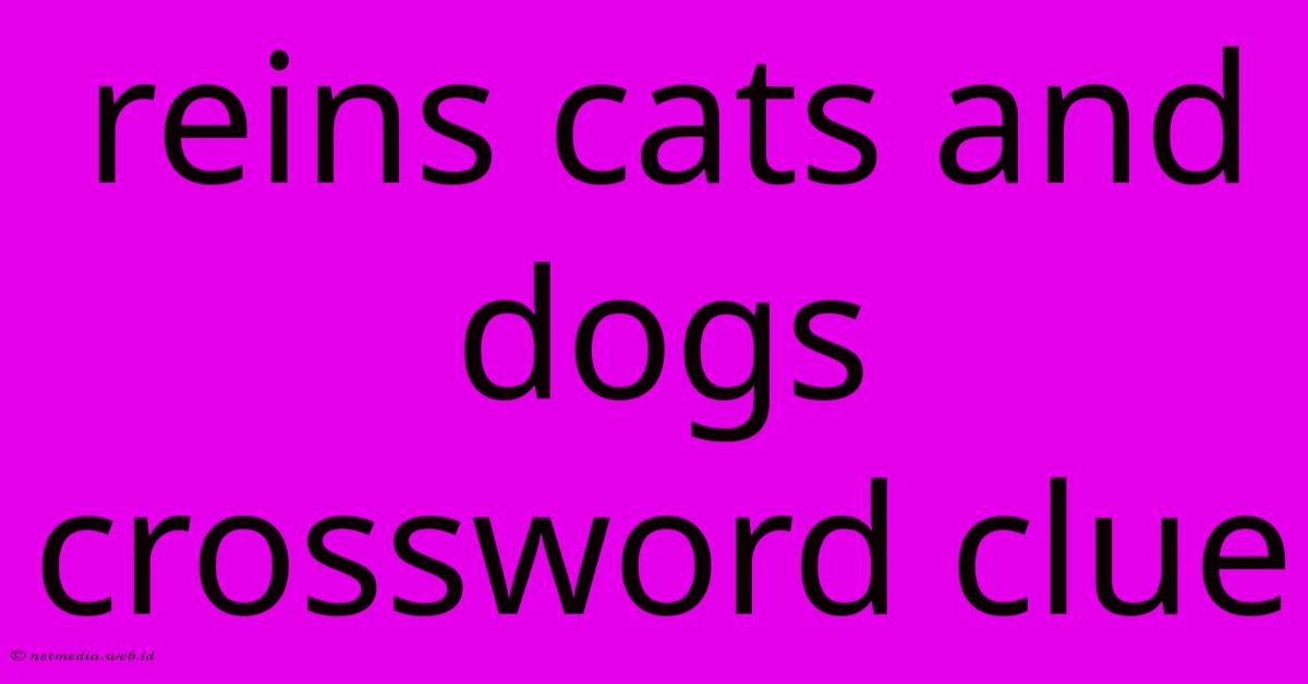 Reins Cats And Dogs Crossword Clue Reins Cats And Dogs Crossword Clue