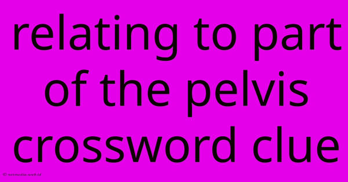 Relating To Part Of The Pelvis Crossword Clue Relating To Part Of The Pelvis Crossword Clue