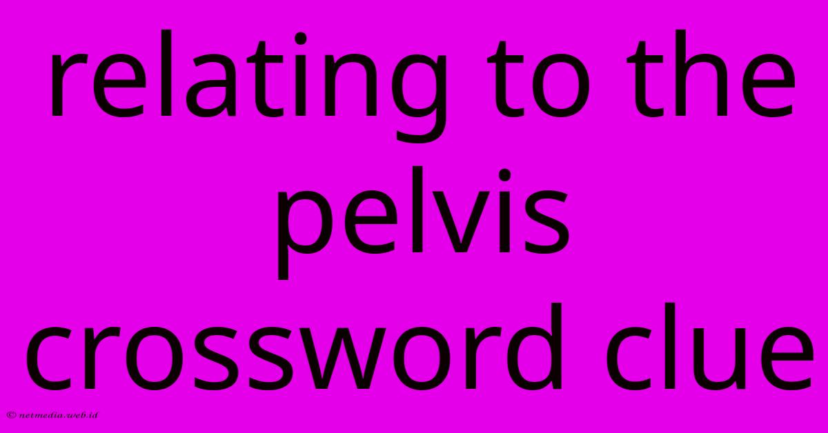 Relating To The Pelvis Crossword Clue Relating To The Pelvis Crossword Clue