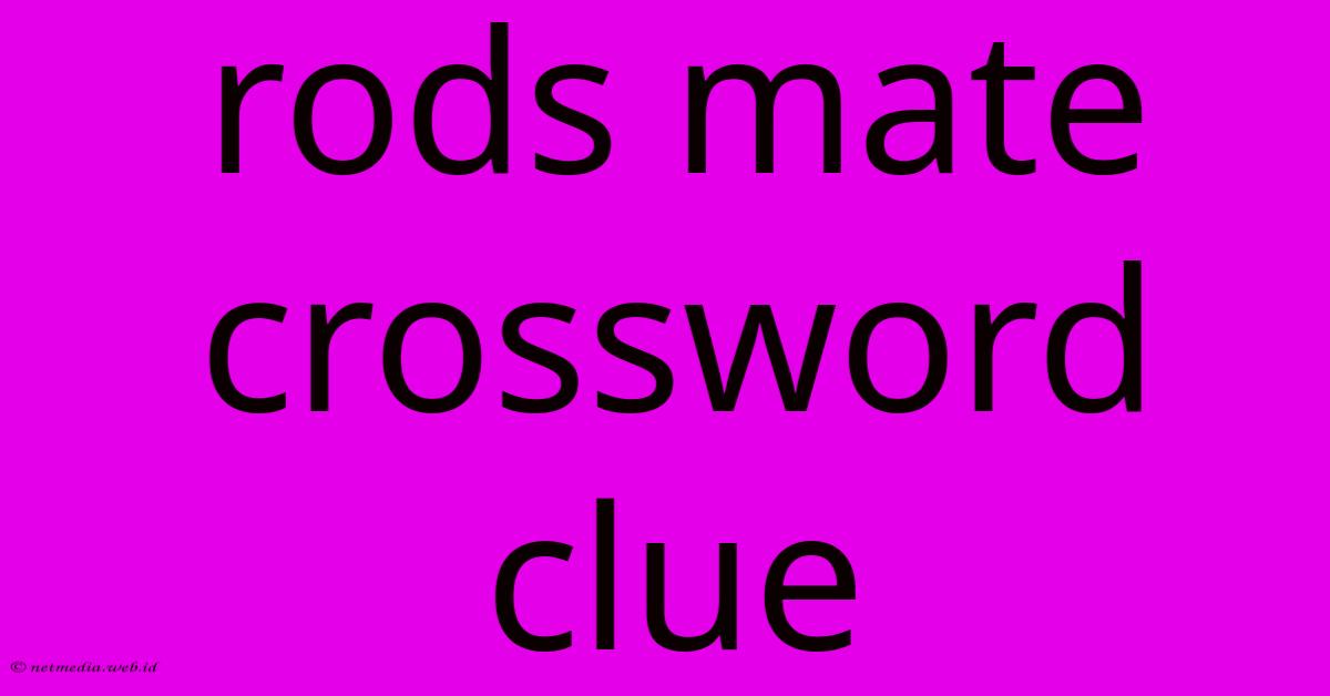 Rods Mate Crossword Clue