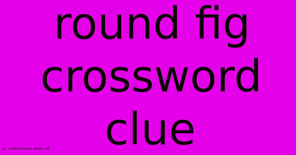 Round Fig Crossword Clue