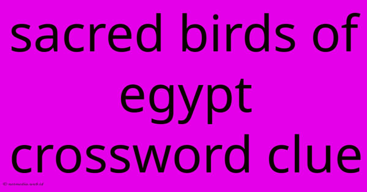 Sacred Birds Of Egypt Crossword Clue Sacred Birds Of Egypt Crossword Clue