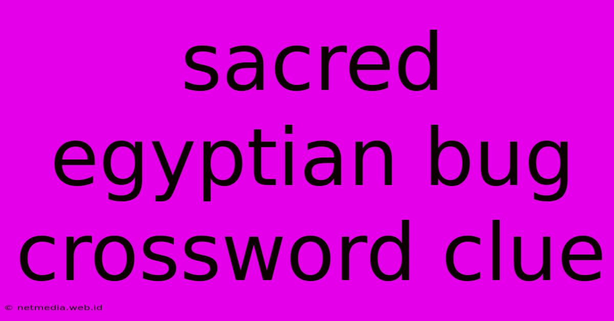 Sacred Egyptian Bug Crossword Clue