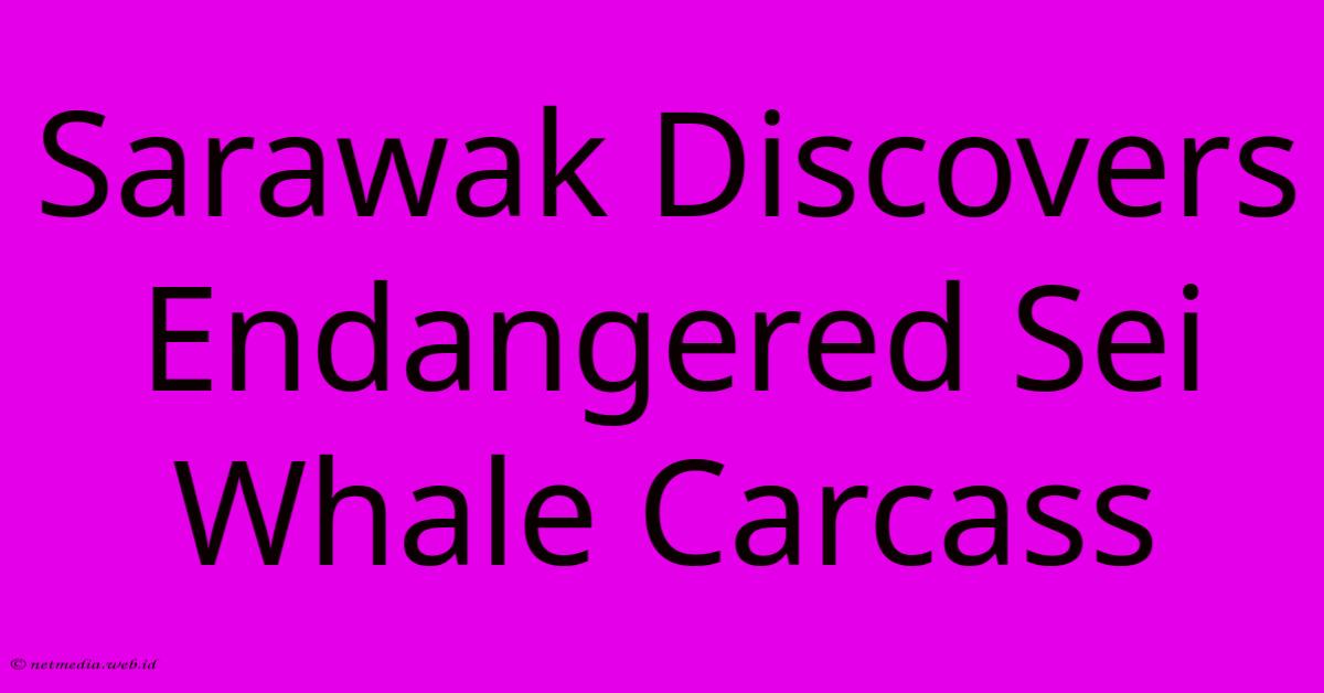 Sarawak Discovers Endangered Sei Whale Carcass Sarawak Discovers Endangered Sei Whale Carcass