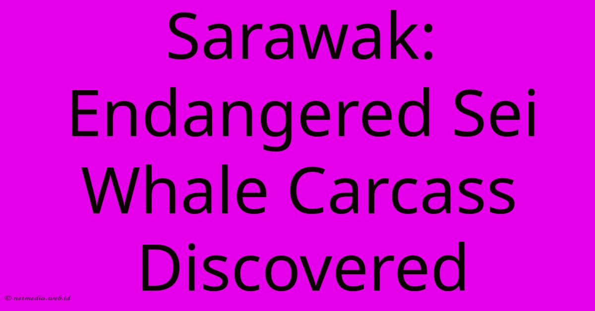 Sarawak: Endangered Sei Whale Carcass Discovered Sarawak: Endangered Sei Whale Carcass Discovered