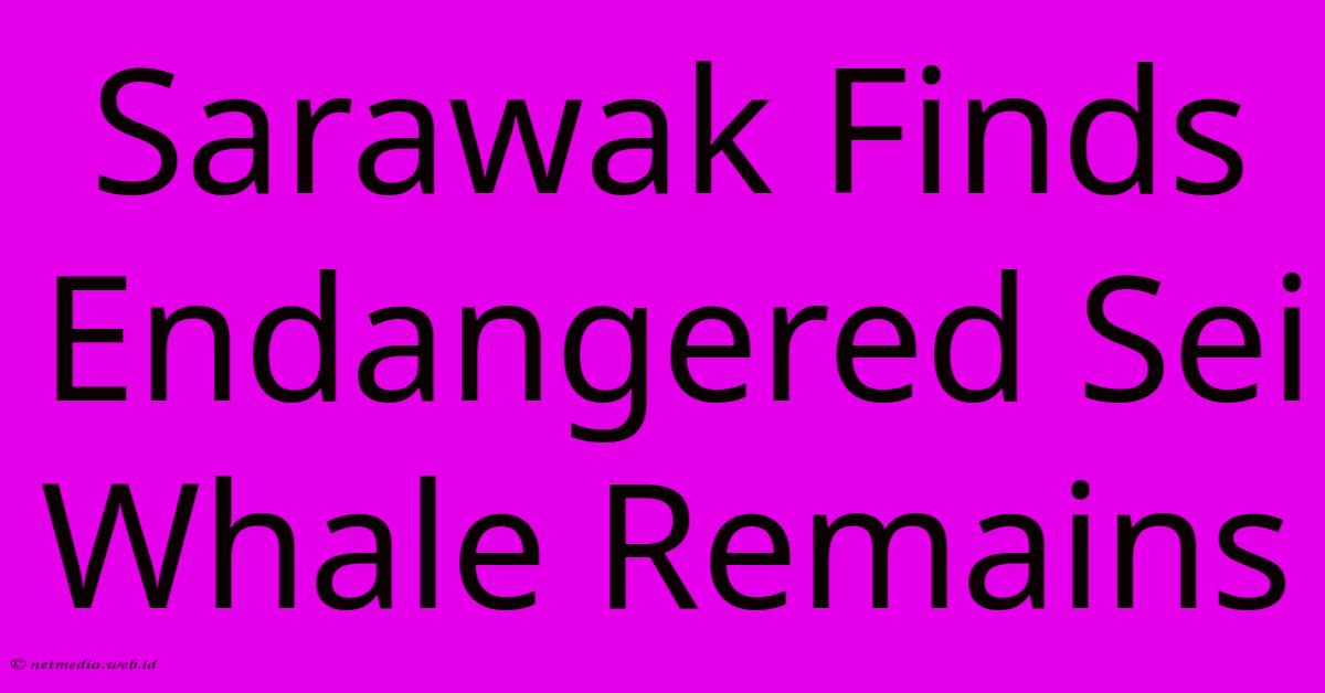 Sarawak Finds Endangered Sei Whale Remains Sarawak Finds Endangered Sei Whale Remains
