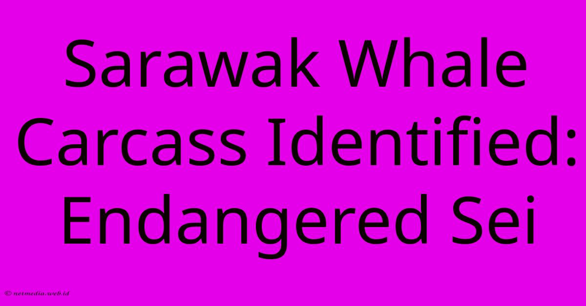 Sarawak Whale Carcass Identified: Endangered Sei Sarawak Whale Carcass Identified: Endangered Sei