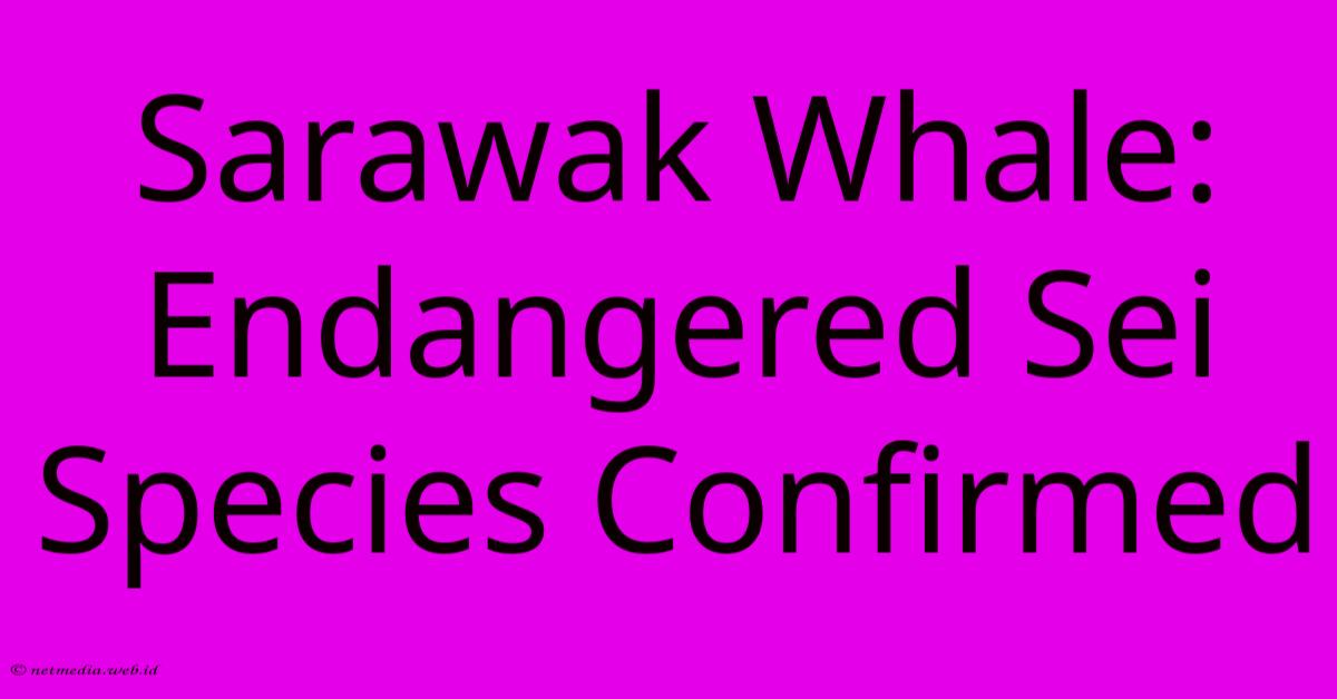 Sarawak Whale: Endangered Sei Species Confirmed Sarawak Whale: Endangered Sei Species Confirmed
