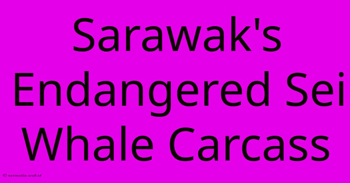 Sarawak's Endangered Sei Whale Carcass Sarawak's Endangered Sei Whale Carcass