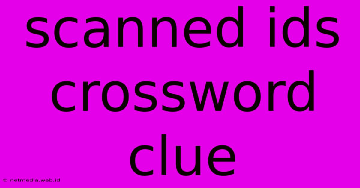 Scanned Ids Crossword Clue