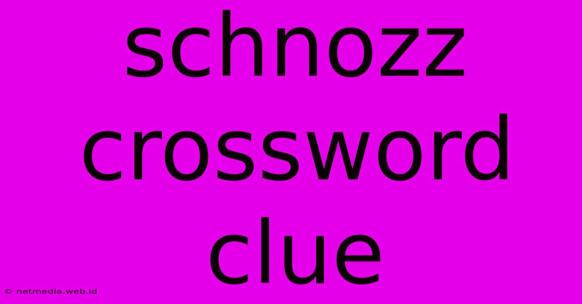 Schnozz Crossword Clue