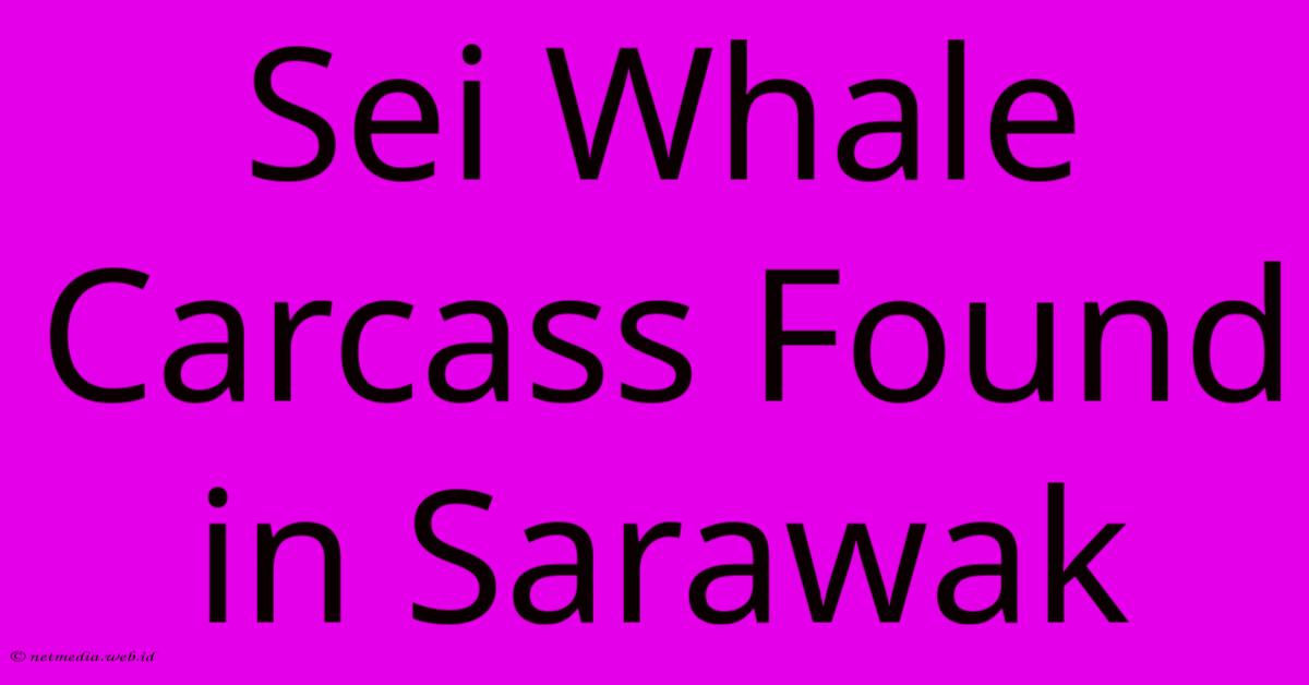 Sei Whale Carcass Found In Sarawak Sei Whale Carcass Found In Sarawak
