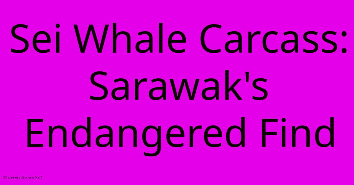 Sei Whale Carcass: Sarawak's Endangered Find Sei Whale Carcass: Sarawak's Endangered Find
