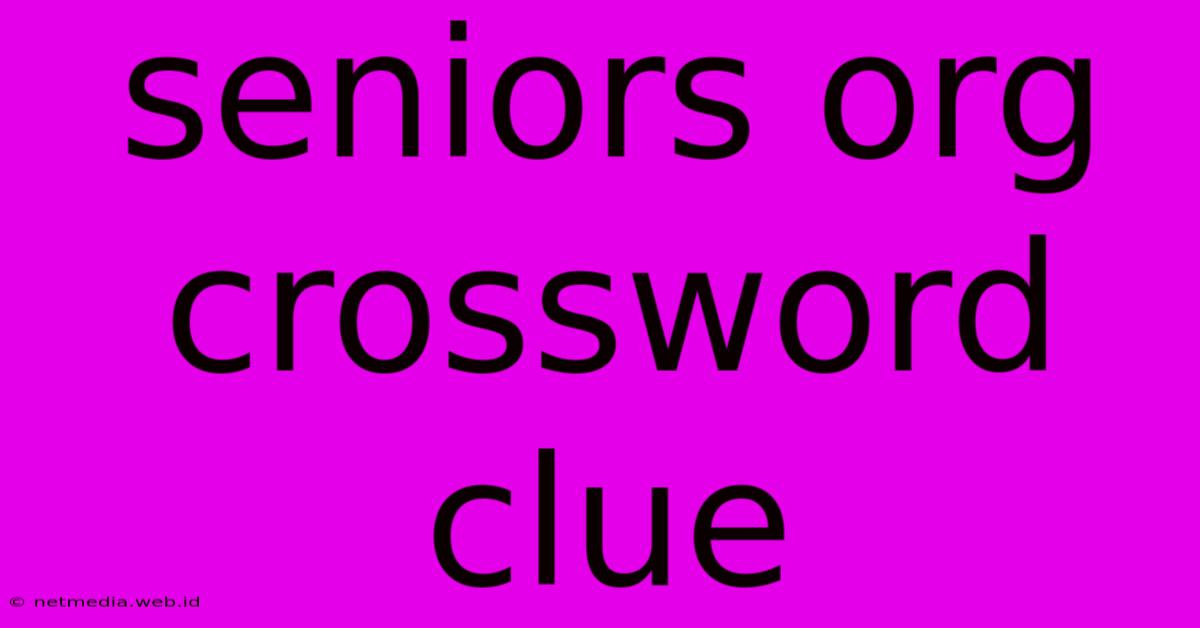 Seniors Org Crossword Clue