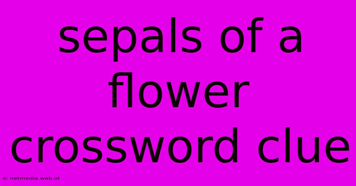 Sepals Of A Flower Crossword Clue