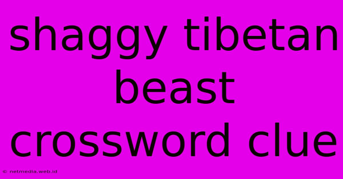 Shaggy Tibetan Beast Crossword Clue