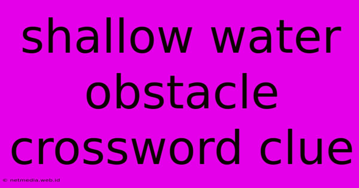 Shallow Water Obstacle Crossword Clue