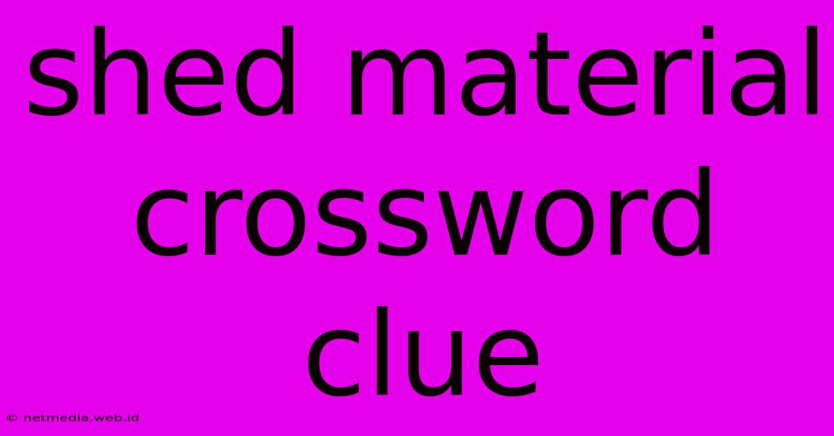 Shed Material Crossword Clue