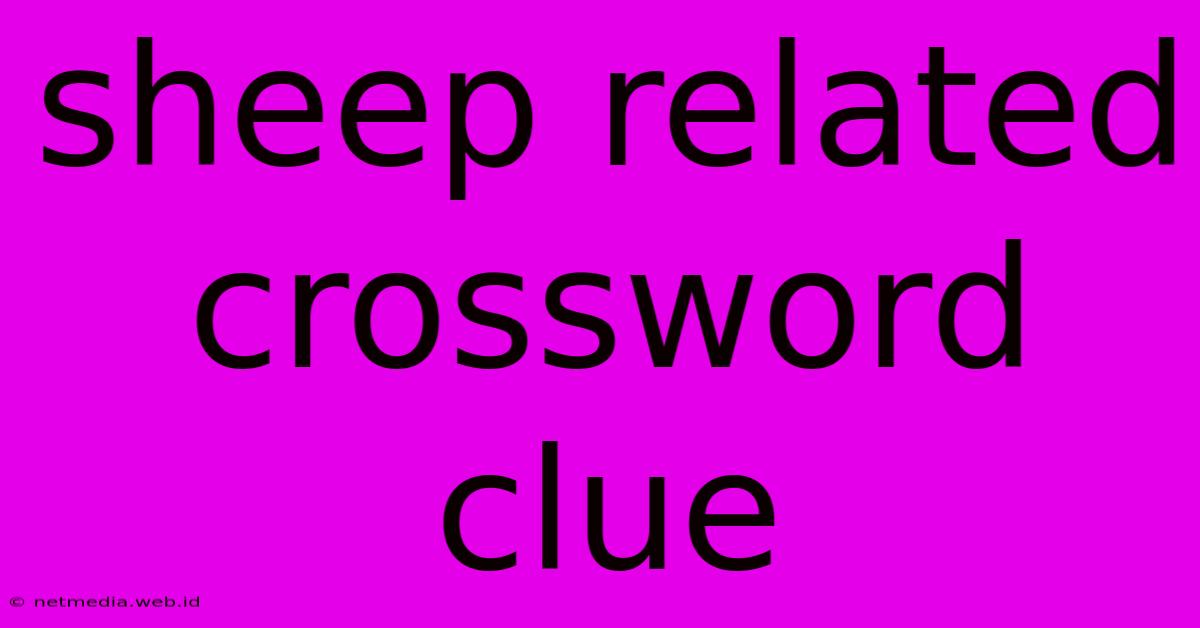 Sheep Related Crossword Clue