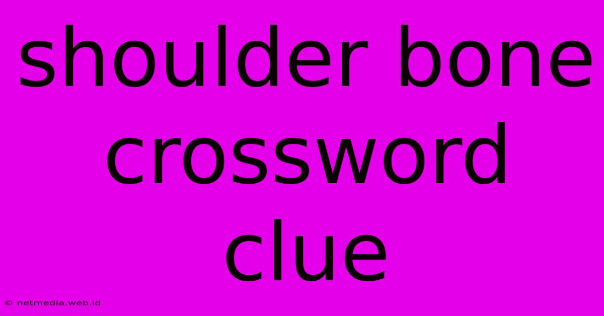 Shoulder Bone Crossword Clue