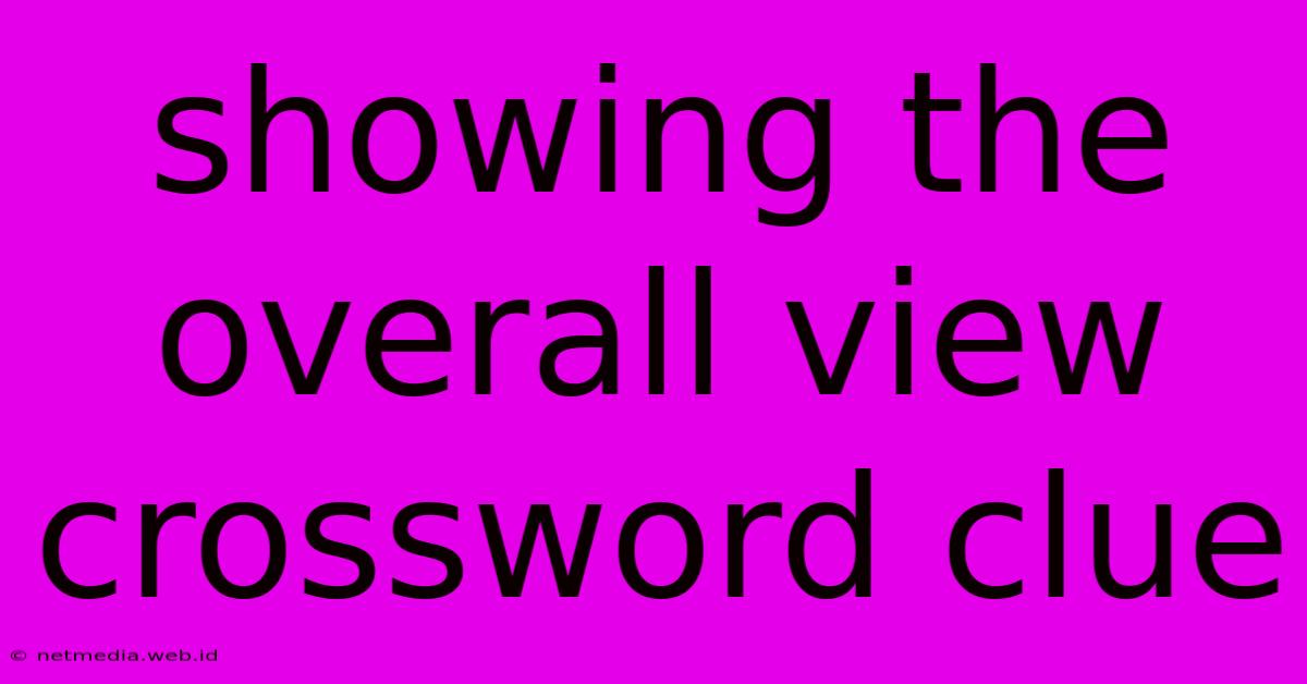 Showing The Overall View Crossword Clue