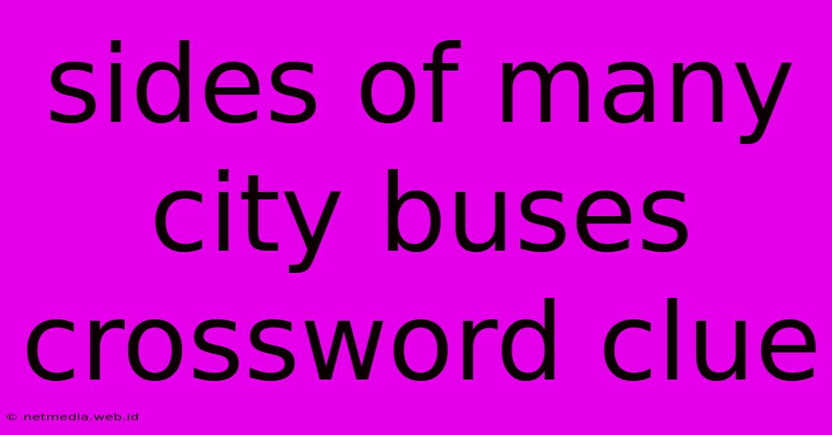 Sides Of Many City Buses Crossword Clue