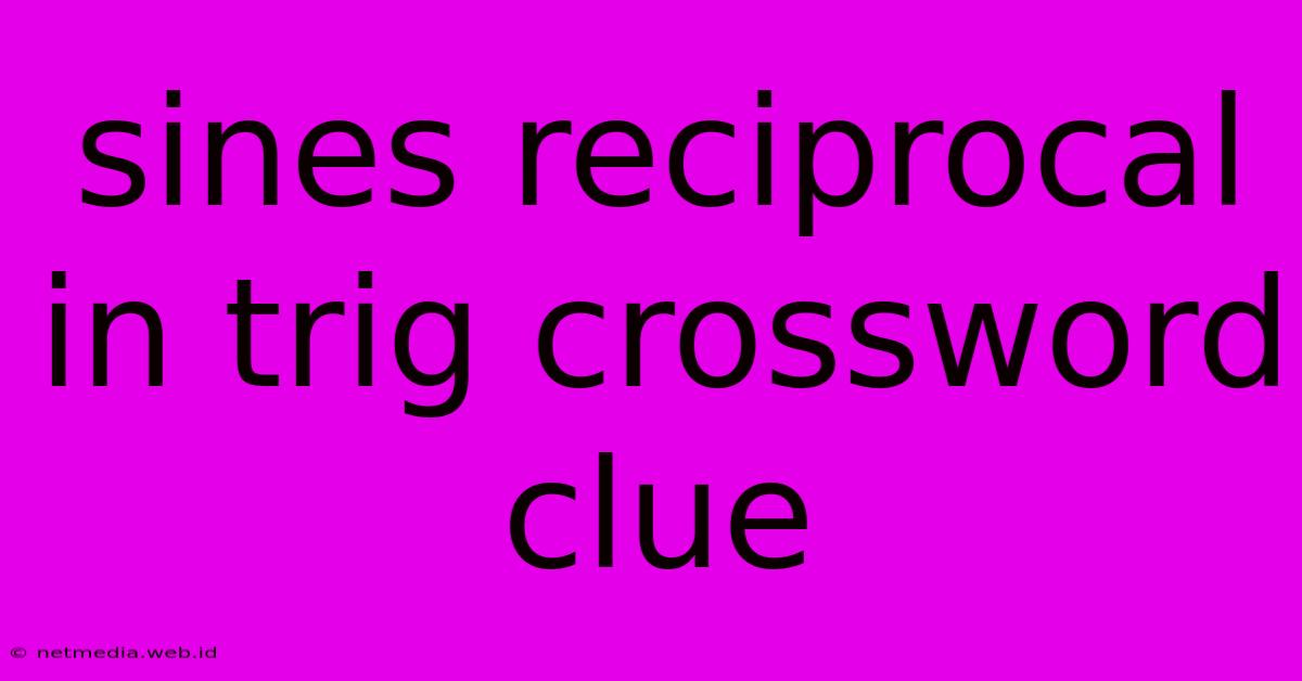 Sines Reciprocal In Trig Crossword Clue