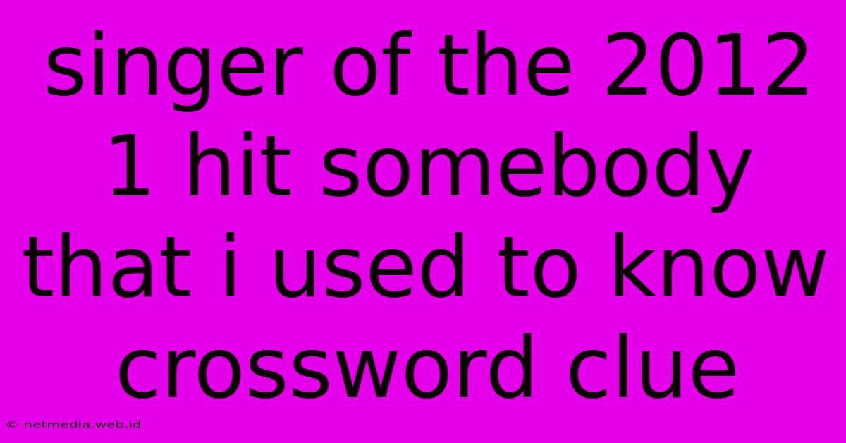 Singer Of The 2012 1 Hit Somebody That I Used To Know Crossword Clue