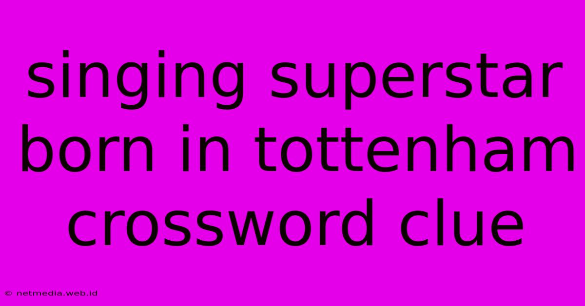 Singing Superstar Born In Tottenham Crossword Clue