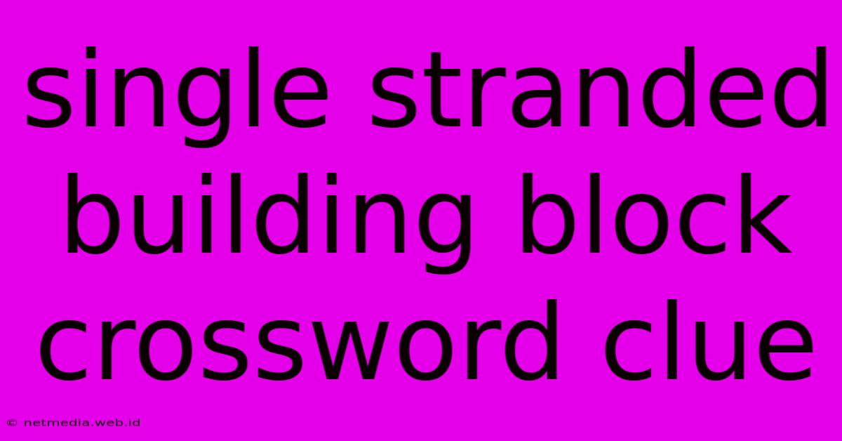 Single Stranded Building Block Crossword Clue