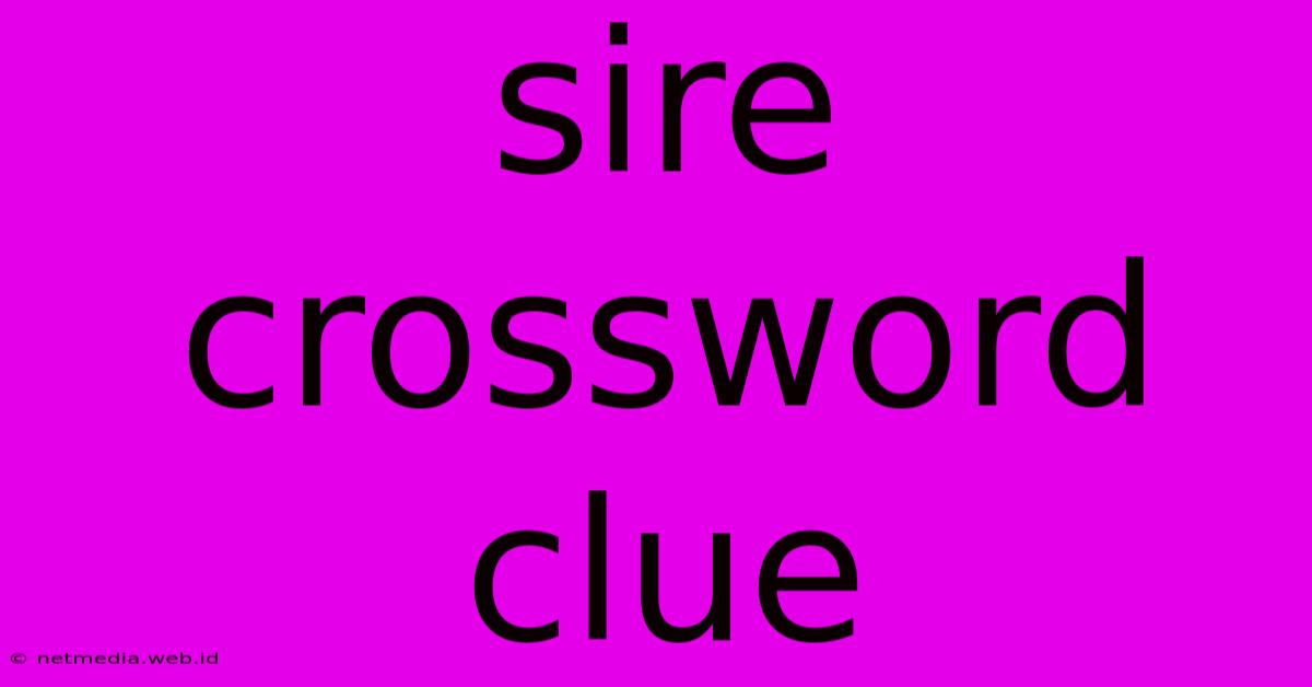 Sire Crossword Clue