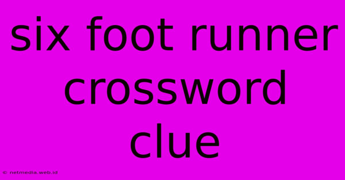 Six Foot Runner Crossword Clue