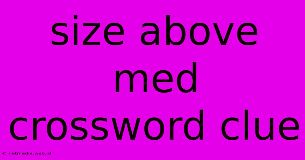 Size Above Med Crossword Clue