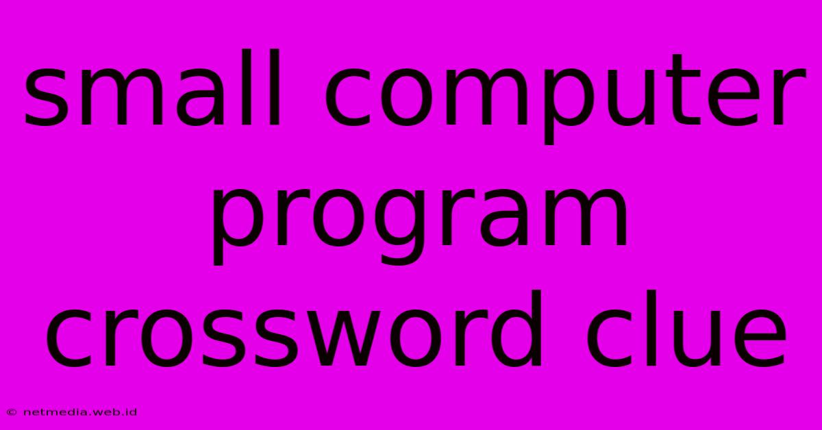 Small Computer Program Crossword Clue