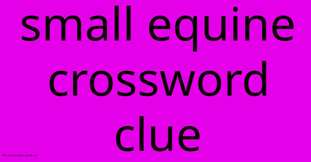 Small Equine Crossword Clue