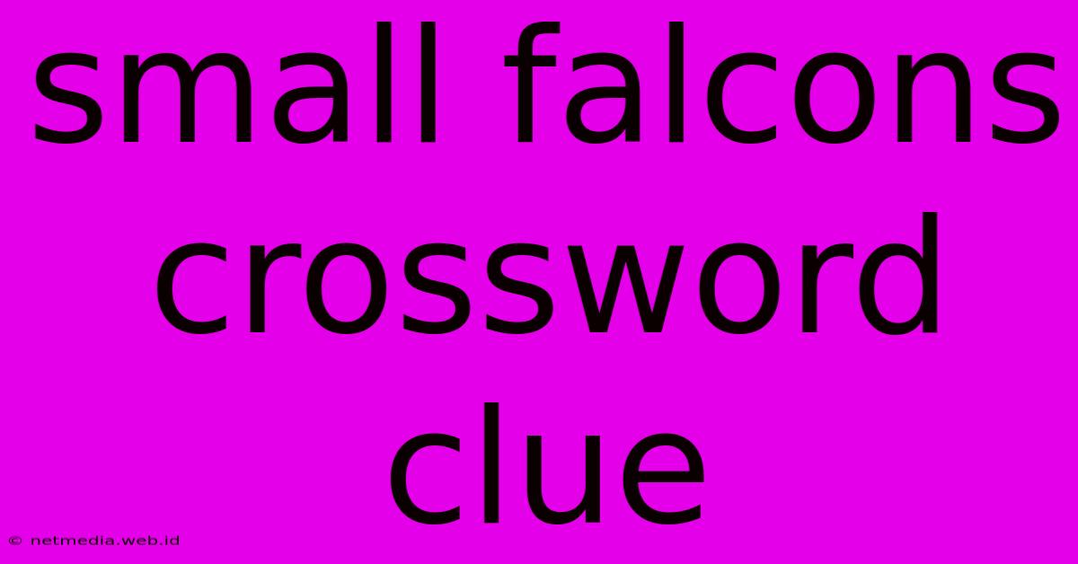 Small Falcons Crossword Clue