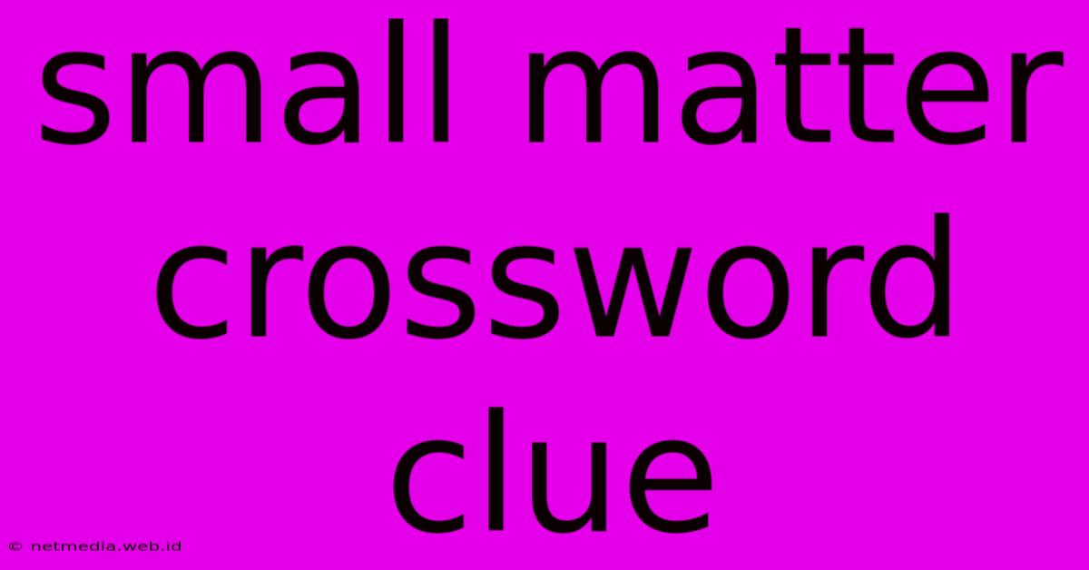 Small Matter Crossword Clue