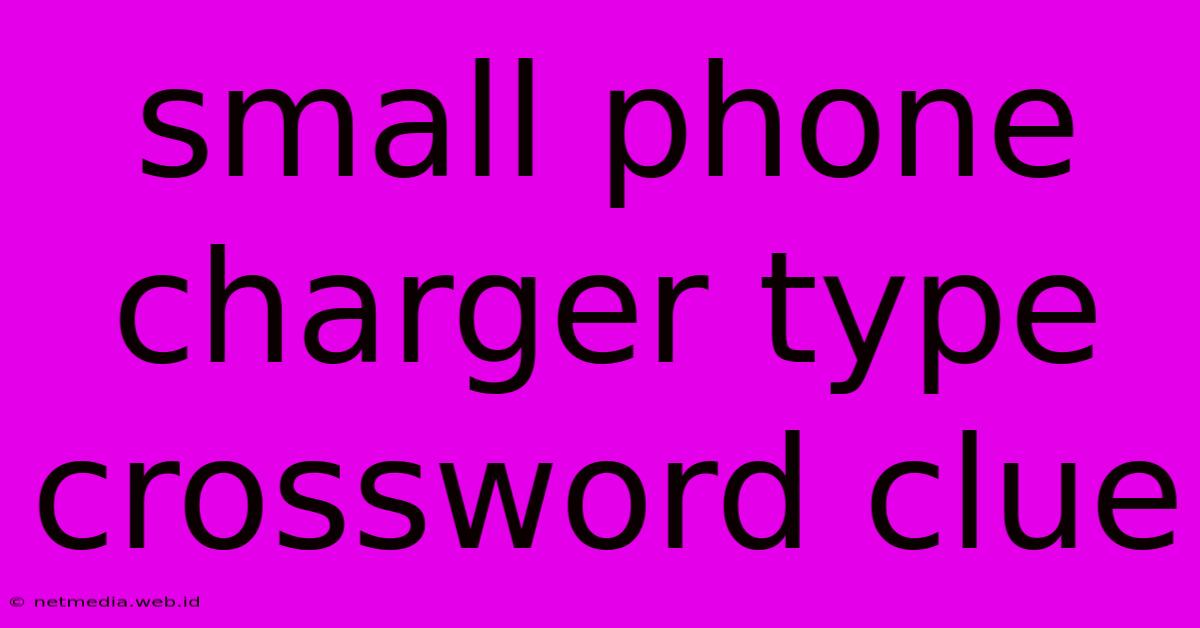 Small Phone Charger Type Crossword Clue