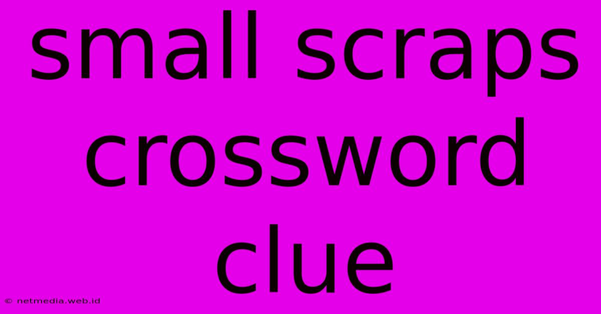 Small Scraps Crossword Clue