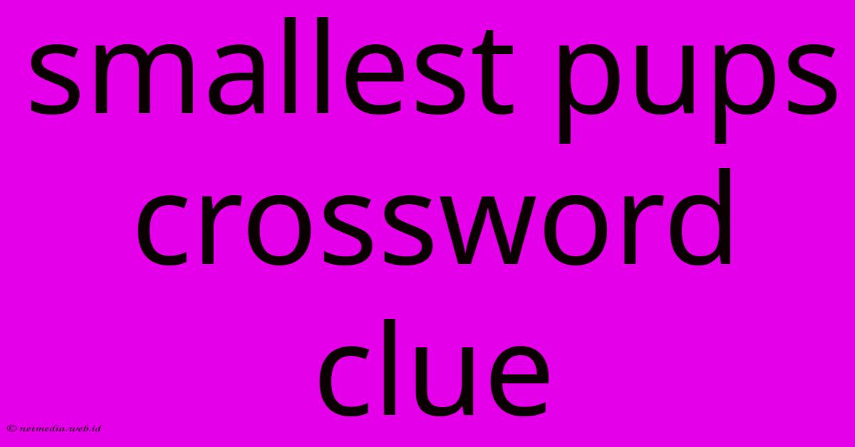 Smallest Pups Crossword Clue Smallest Pups Crossword Clue