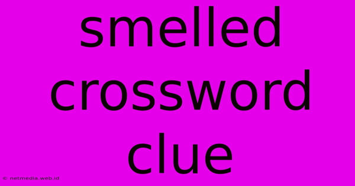 Smelled Crossword Clue