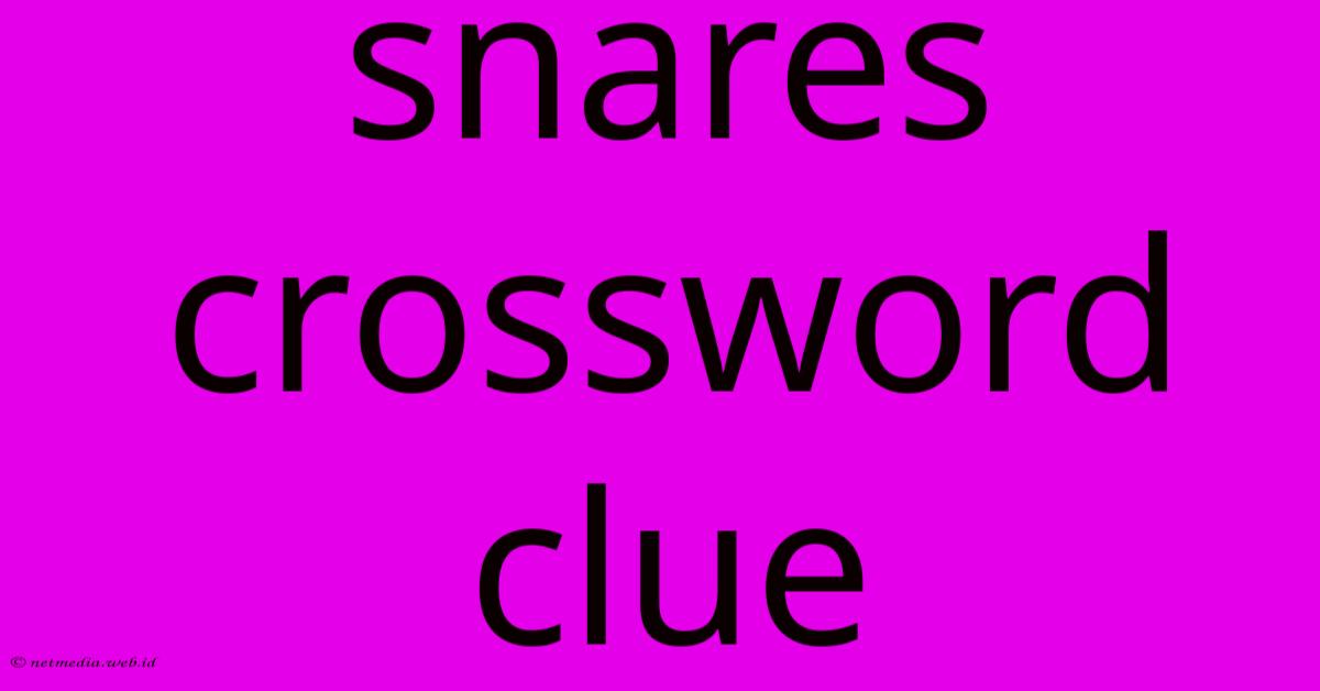 Snares Crossword Clue