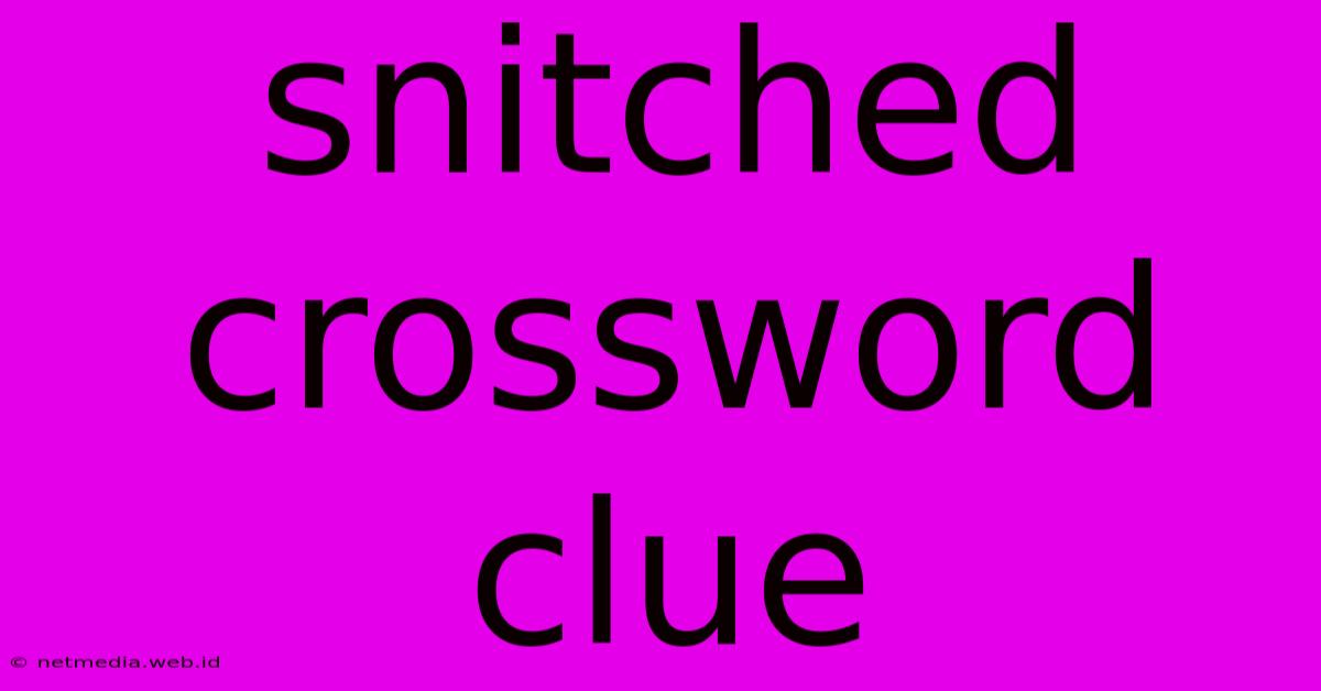 Snitched Crossword Clue