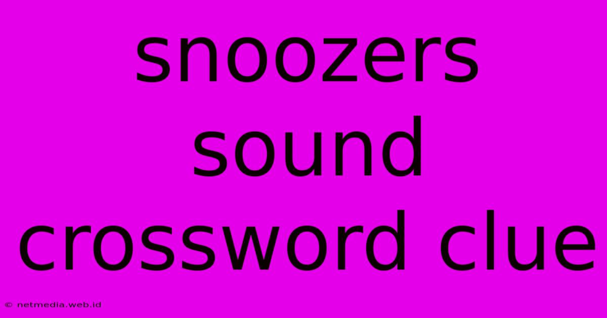 Snoozers Sound Crossword Clue