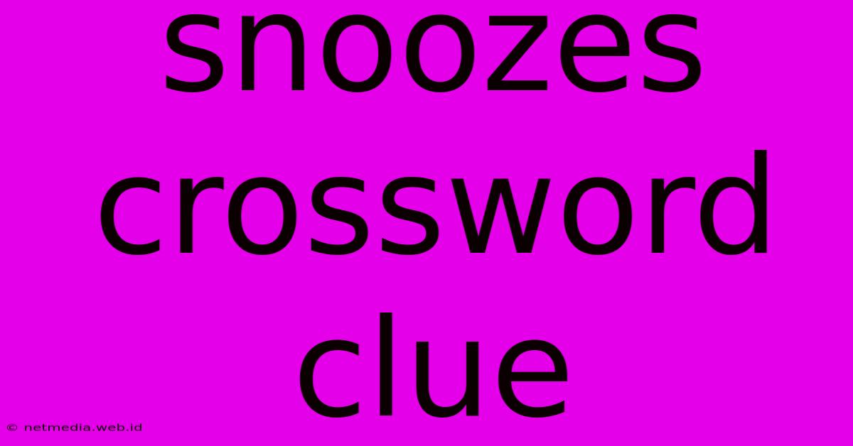 Snoozes Crossword Clue