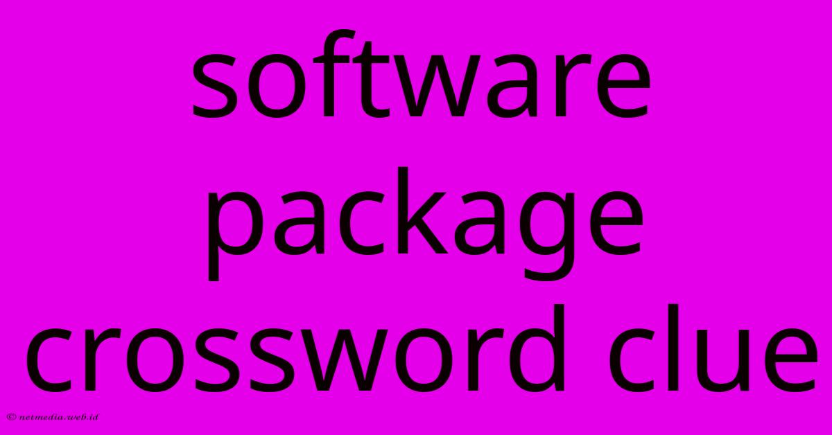 Software Package Crossword Clue